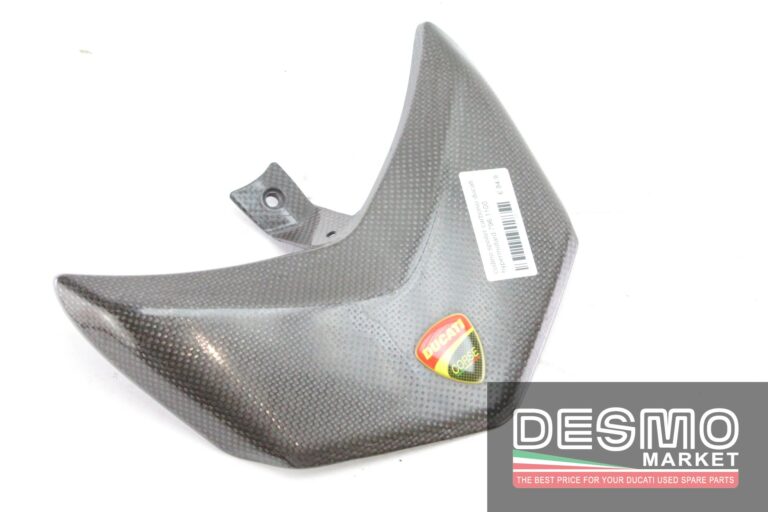 Codino spoiler carbonio Ducati Hypermotard 796 1100