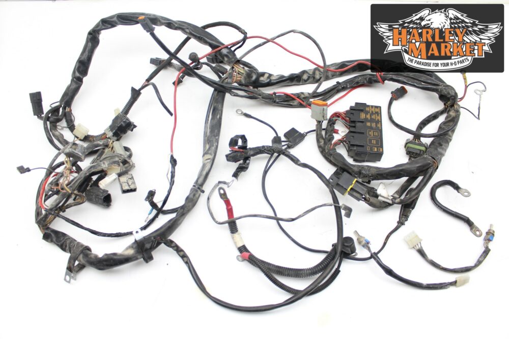 Main wiring harness Harley Davidson FLHRI Road King MY 2002