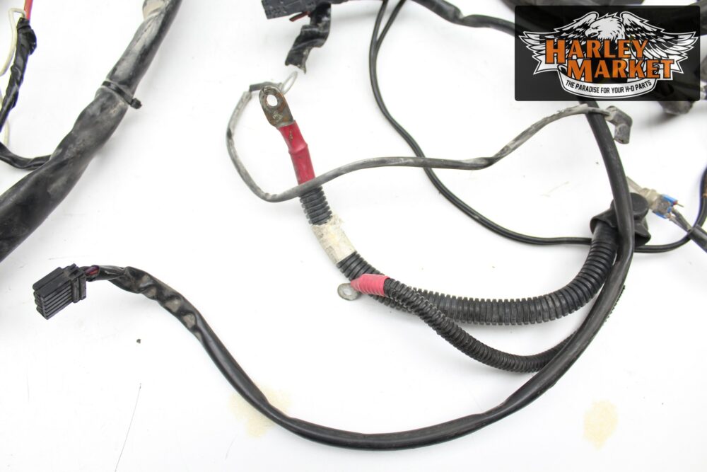 Main wiring harness Harley Davidson FLHRI Road King MY 2002 - Image 5