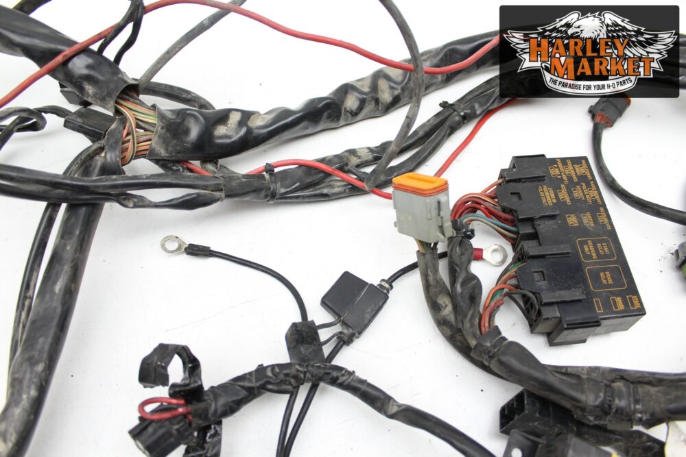 Main wiring harness Harley Davidson FLHRI Road King MY 2002 - Image 6