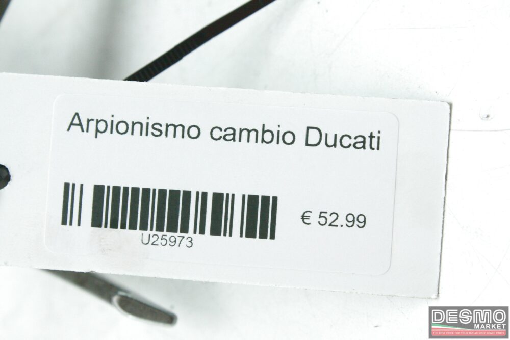 Arpionismo cambio Ducati